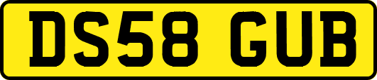 DS58GUB