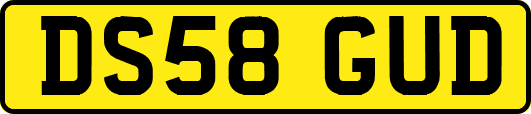 DS58GUD