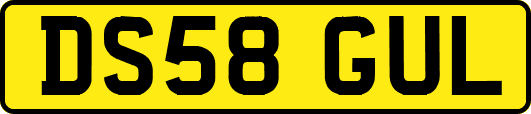 DS58GUL