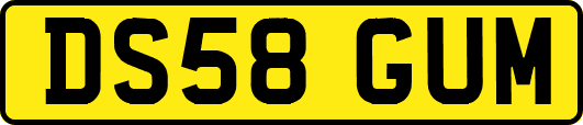 DS58GUM