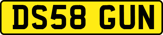 DS58GUN