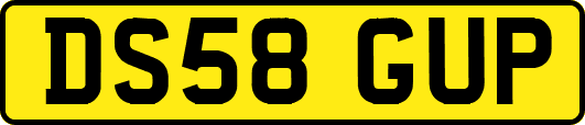 DS58GUP