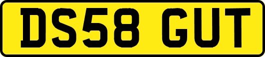 DS58GUT