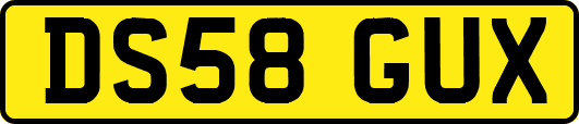 DS58GUX