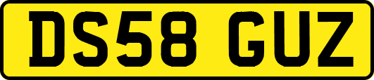 DS58GUZ