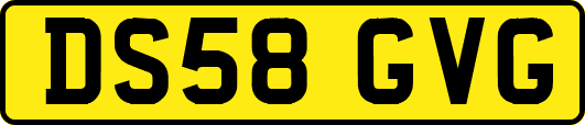 DS58GVG