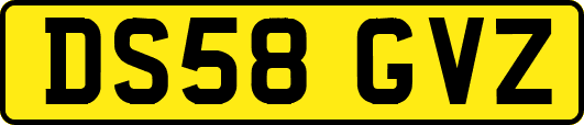 DS58GVZ