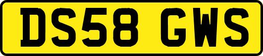 DS58GWS
