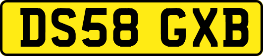 DS58GXB