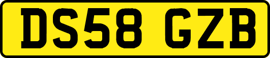 DS58GZB