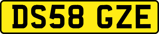 DS58GZE