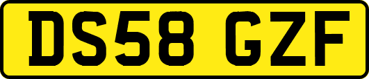 DS58GZF