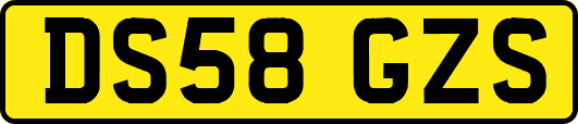 DS58GZS