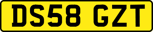 DS58GZT
