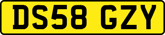 DS58GZY