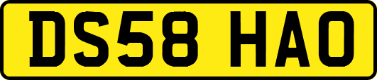DS58HAO