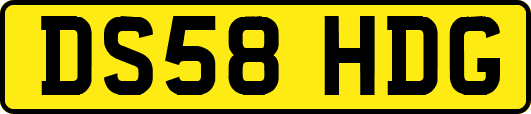 DS58HDG