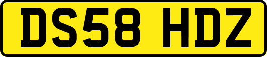 DS58HDZ
