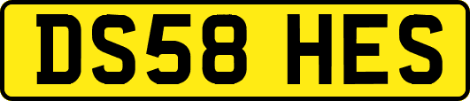DS58HES