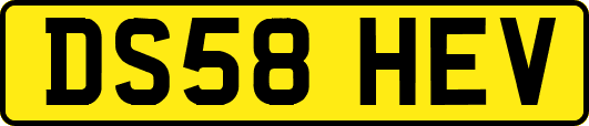 DS58HEV
