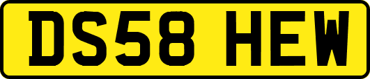 DS58HEW