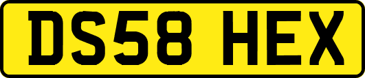 DS58HEX