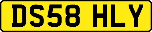 DS58HLY