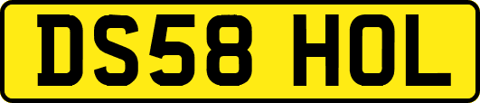 DS58HOL