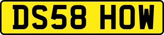 DS58HOW