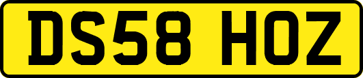 DS58HOZ