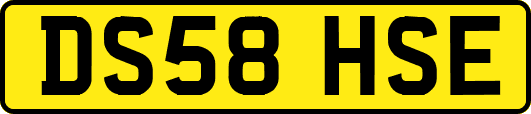 DS58HSE
