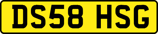 DS58HSG