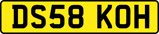 DS58KOH