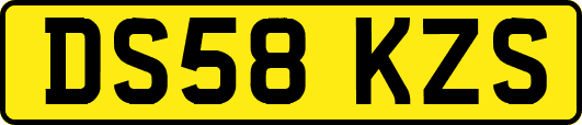 DS58KZS
