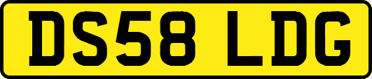 DS58LDG