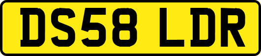 DS58LDR