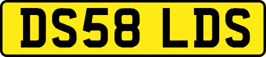 DS58LDS
