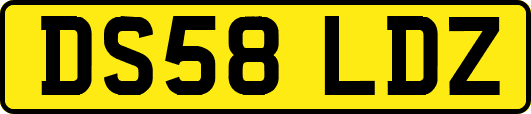 DS58LDZ