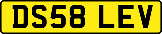 DS58LEV
