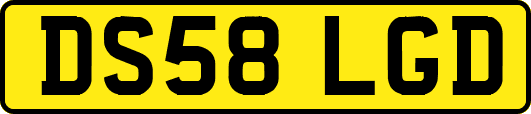 DS58LGD