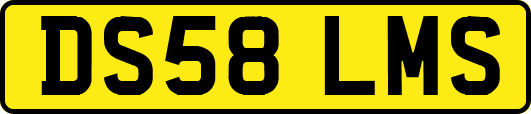 DS58LMS