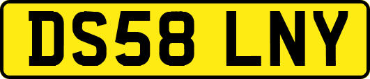 DS58LNY