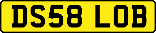 DS58LOB