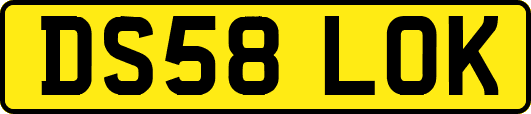 DS58LOK