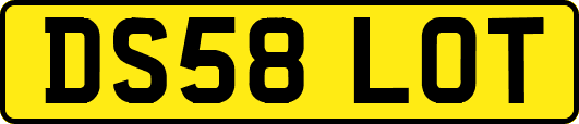 DS58LOT