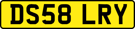DS58LRY