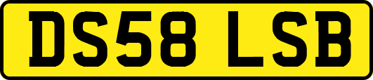 DS58LSB