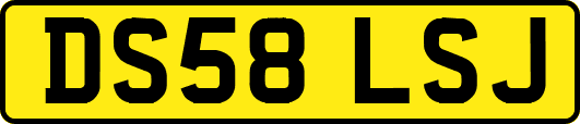 DS58LSJ