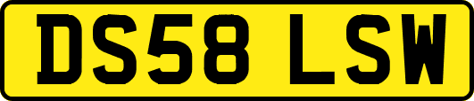 DS58LSW