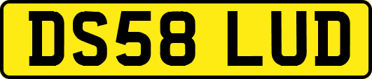 DS58LUD